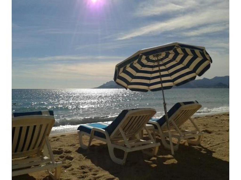 Cannes Front Beach Pools Apartment Eksteriør billede